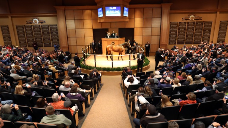 Lady Aurelia was the centre of attention at Fasig-Tipton's 'A Night of Stars' in early November