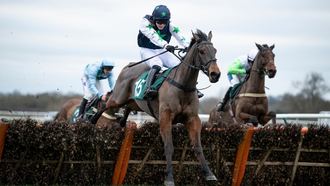 Warwick To Stage Fantasy Race After Cancellation Of Ve Day Fixture Horse Racing News Racing Post