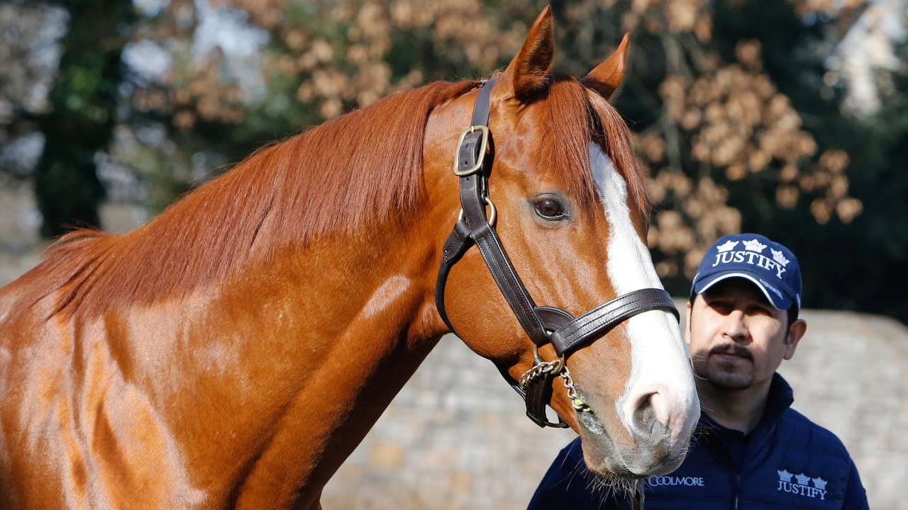 coolmore stud baseball caps