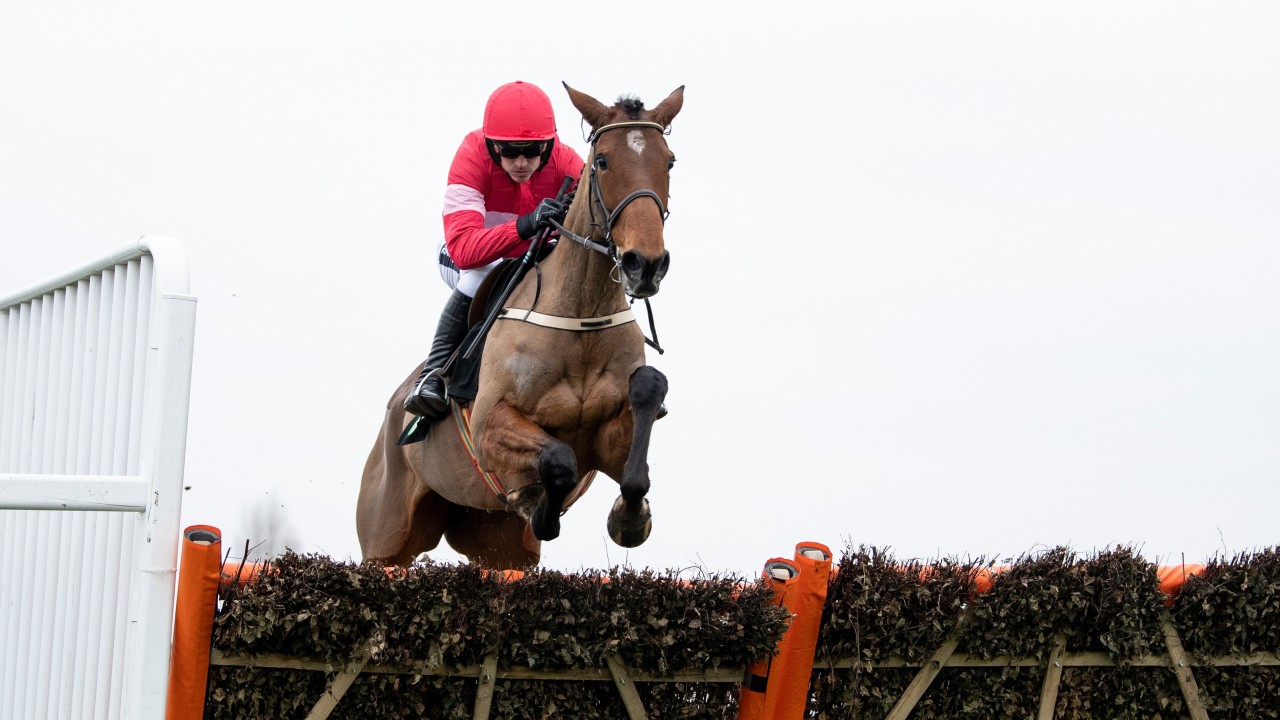 champion warm up sets