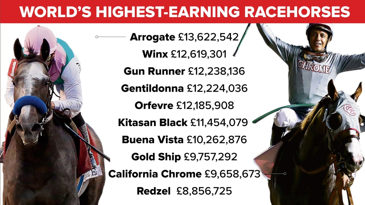 Which racehorses have won the most money in sporting history? Horse
