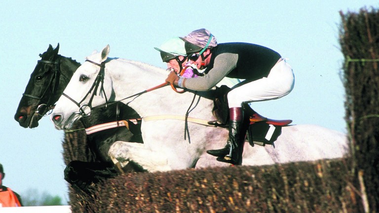 Ascot 14/1/1989The Victor Chandler 'Chase.Desert Orchid & Panto Prince take the last jump.