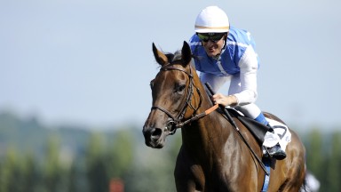 Deauville 16.8.09 Pic:Edward WhitakerGoldikova and Olivier Peslier win the Jacques Le Marois