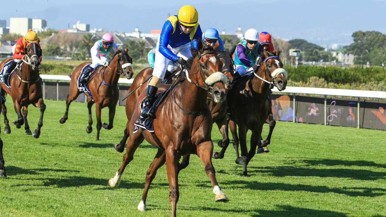 horse betting south africa
