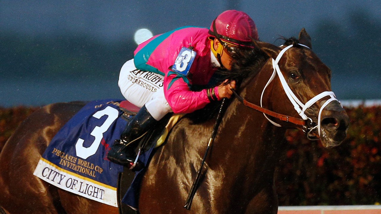 City Of Light shines brightest in emphatic Pegasus World Cup victory