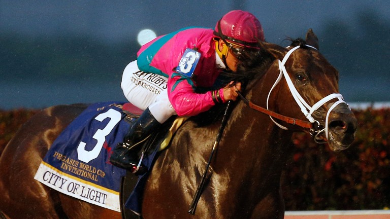 City Of Light: winner of the third running of the Pegasus World Cup