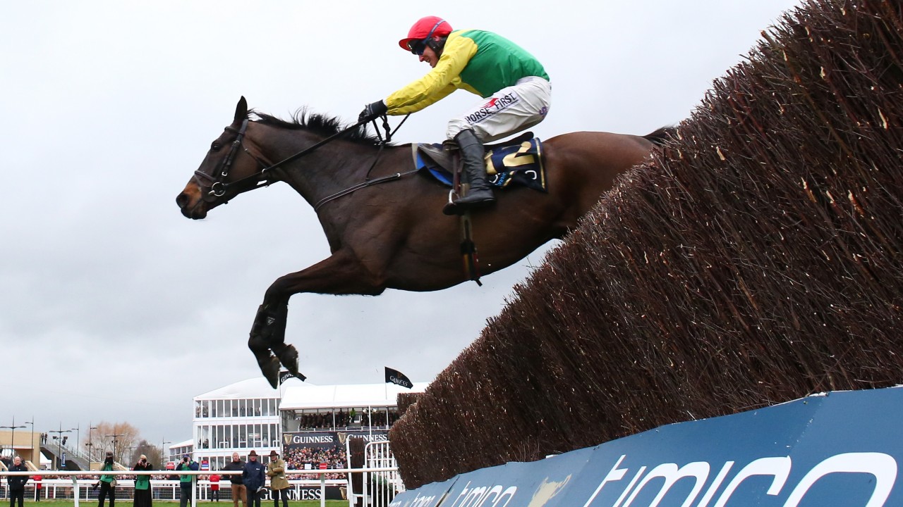 Harrington eyes up first British Classic as Discoveries primed for