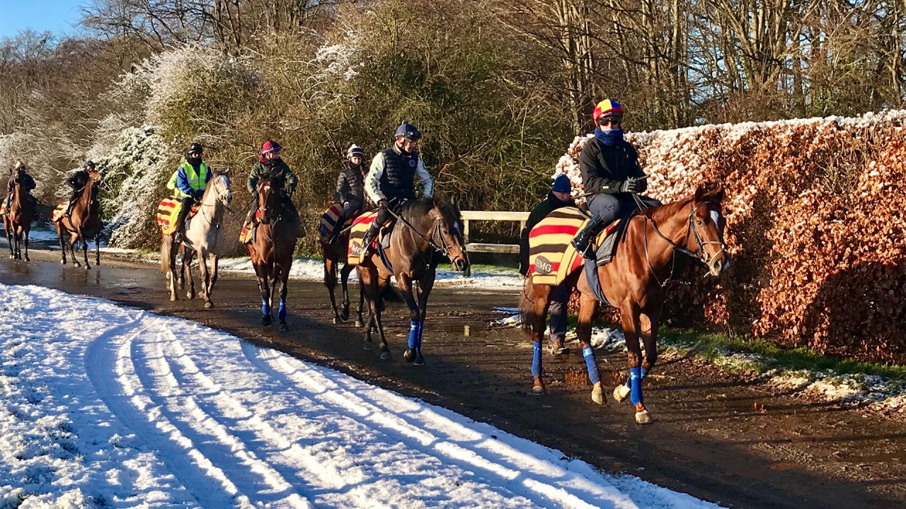 Jockey Club pulls out all the stops to keep wheels turning on Newmarket