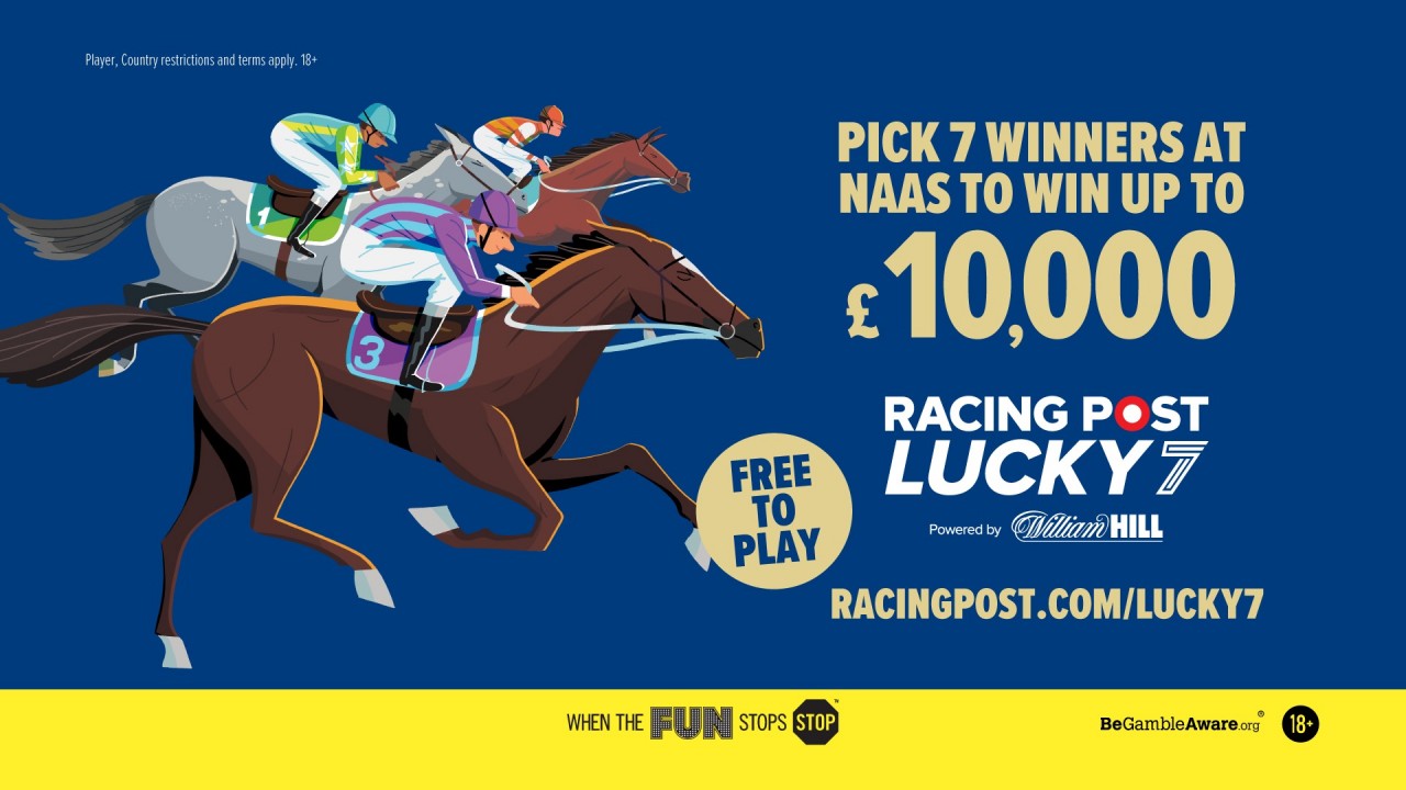 racing post greyhound result