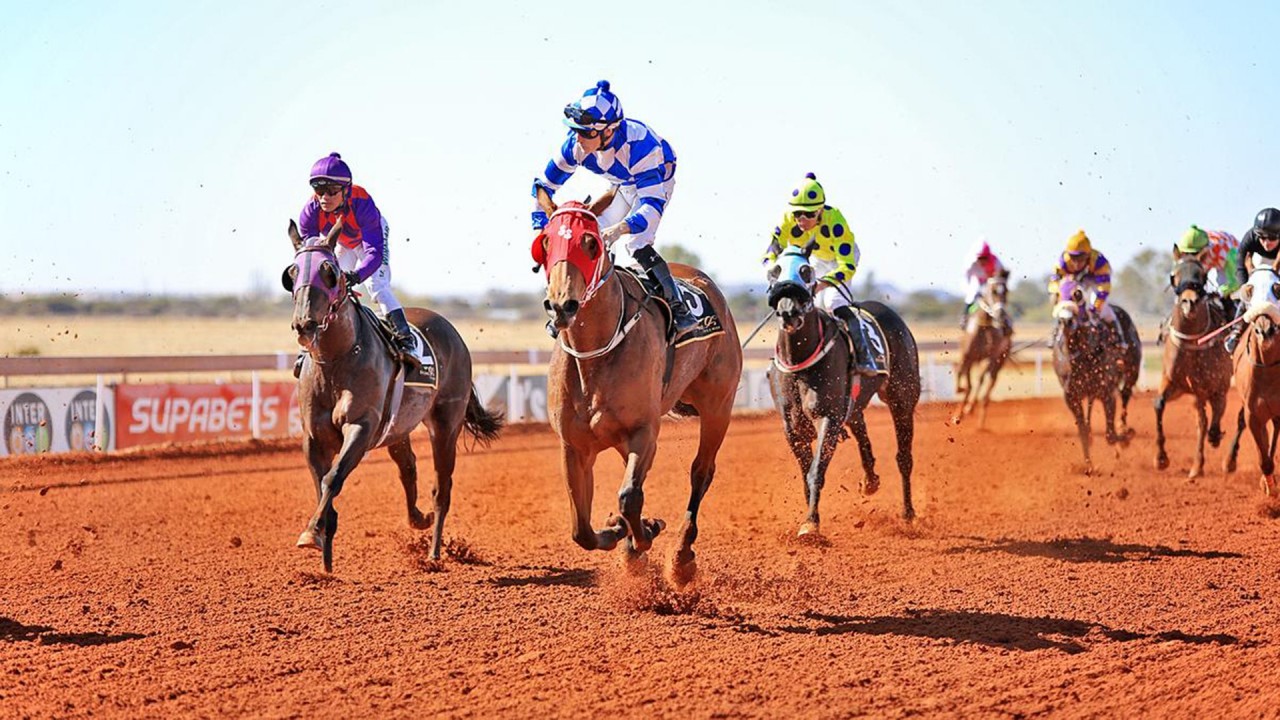 Flamingo Park Racing Flamingo Park Racing