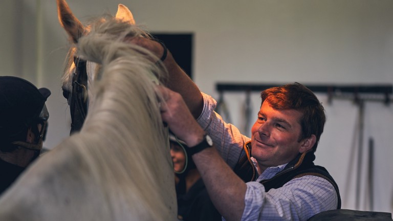 Stud director Tim Lane prepares a mare for action at the National Stud