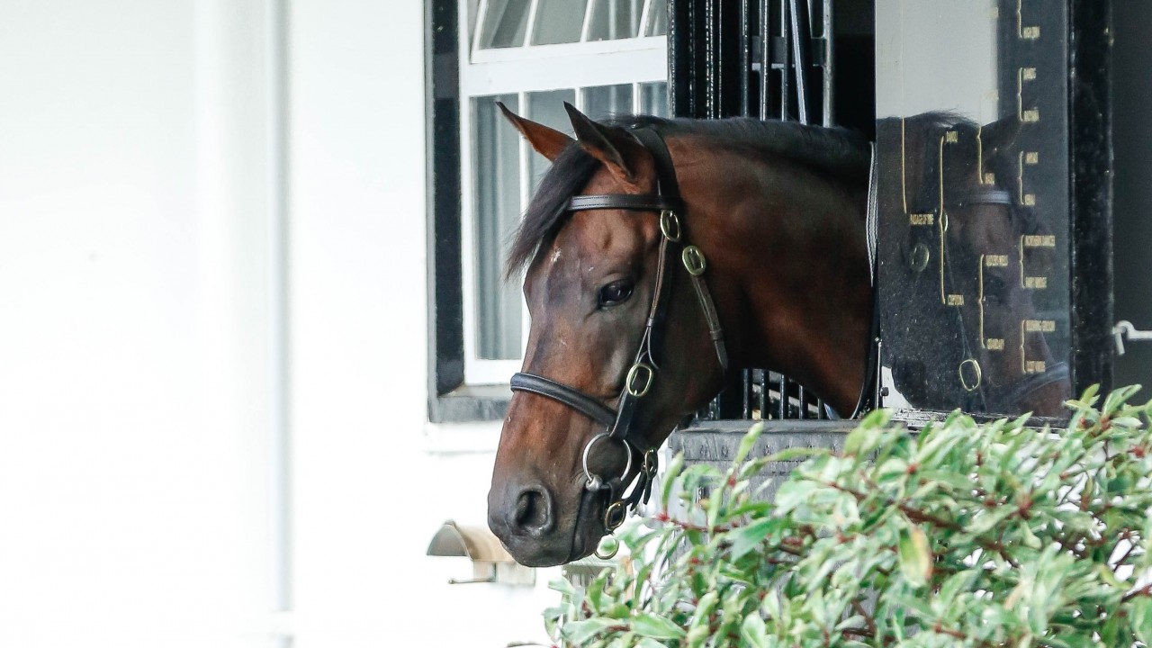 Advertise to remain at £25,000 as National Stud releases ...