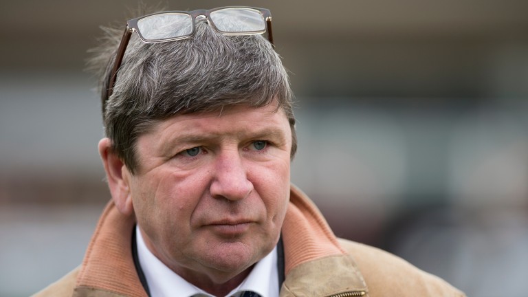 « Never Fear One » – 7-Ranked Maiden Flips 1 à 9 Favoris |  L’actualité hippique