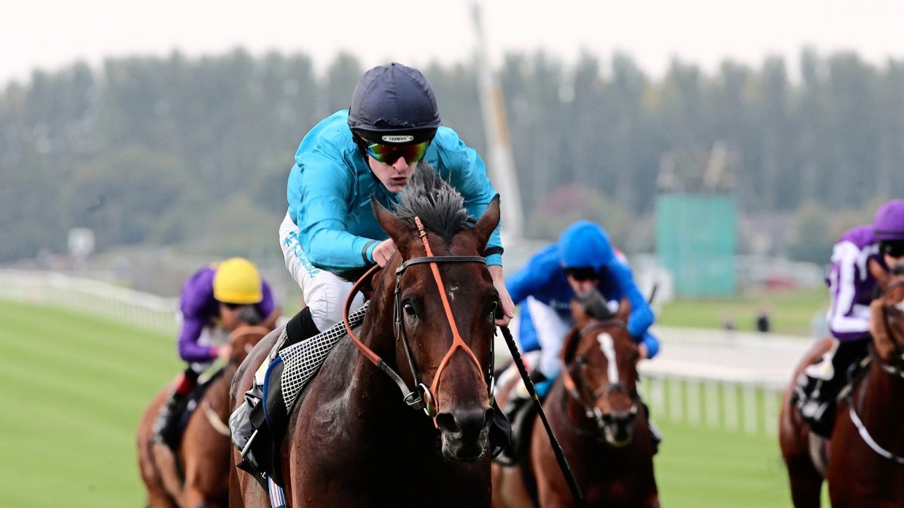 500 Up Tom Dascombe And Richard Kingscote Reach Milestone At Haydock Horse Racing News Racing Post