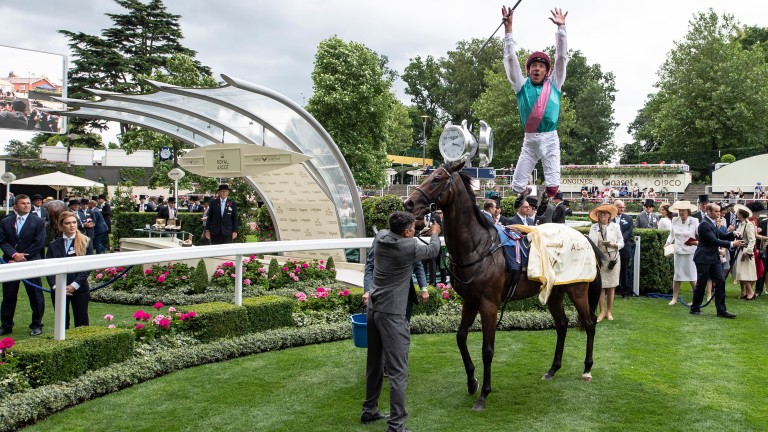 Calyx: Frankie Dettori celebrates winning the Coventry Stakes last year