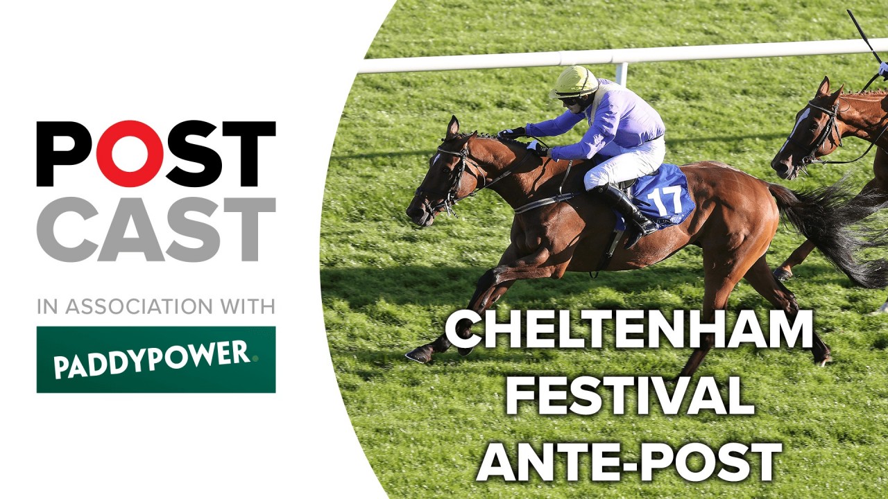 Antepost betting for the Coral Cup and Martin Pipe Handicap Hurdle Horse Racing News Racing