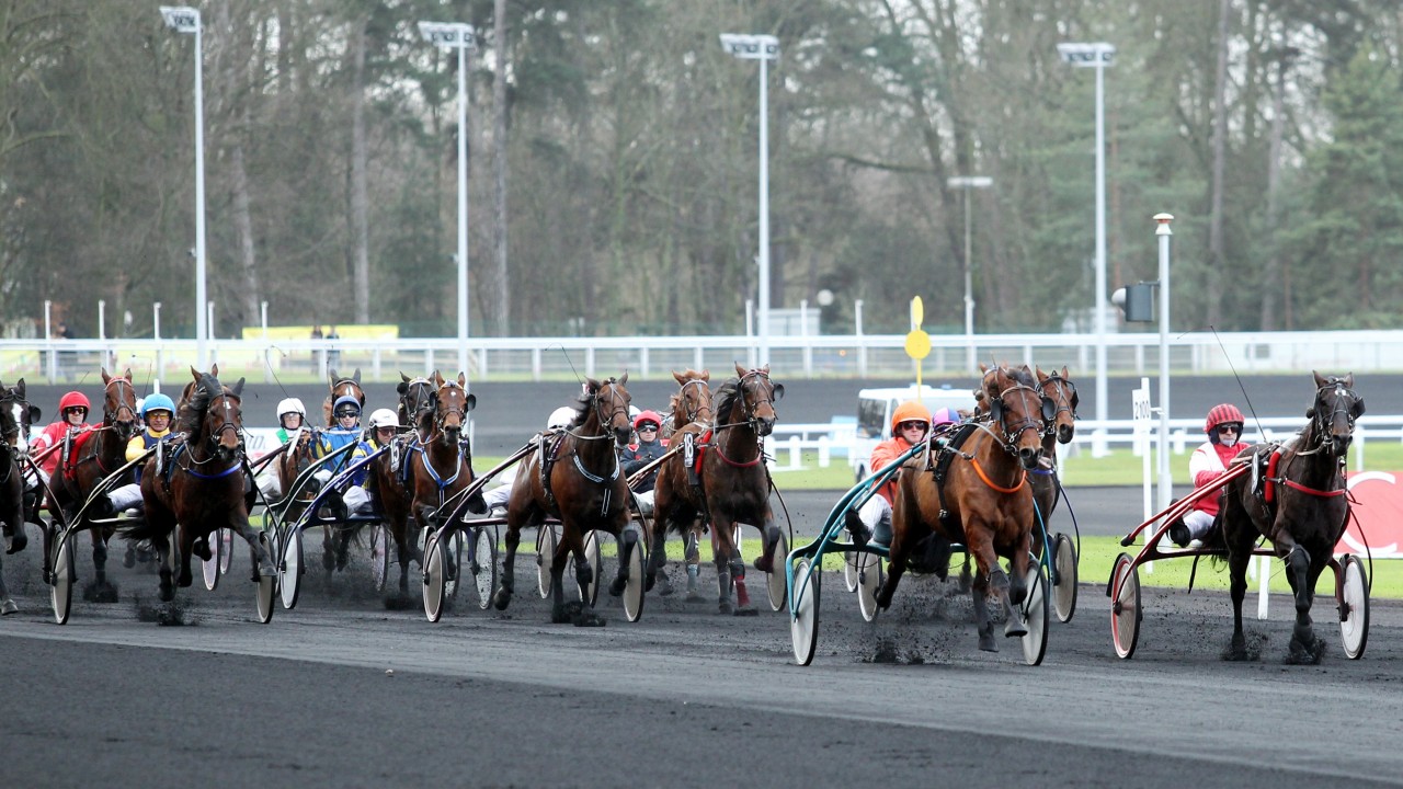 The Best Places To See Non Thoroughbreds Race Around The Globe Horse Racing News Racing Post