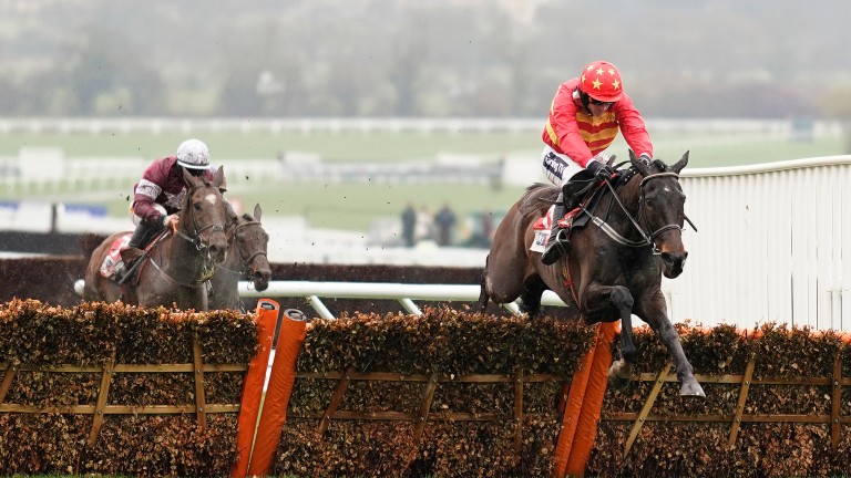 Klassical Dream pings the last to win the Supreme Novices' Hurdle