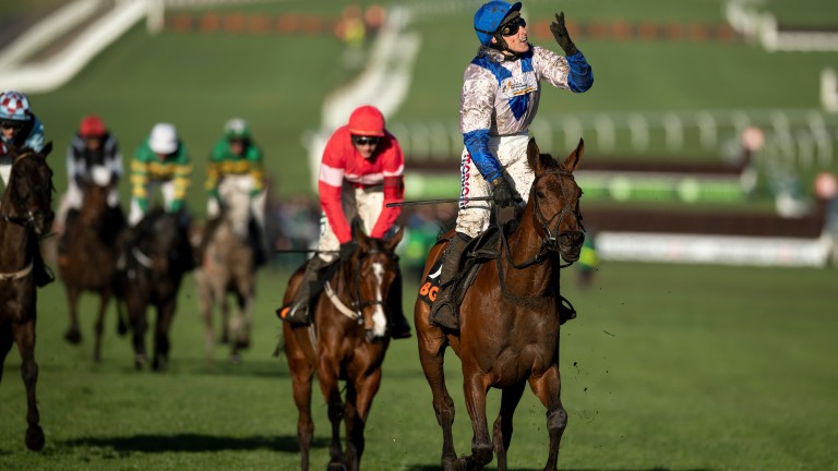 Harry Skelton can't believe his luck as he and Roksana win the Mares' Hurdle