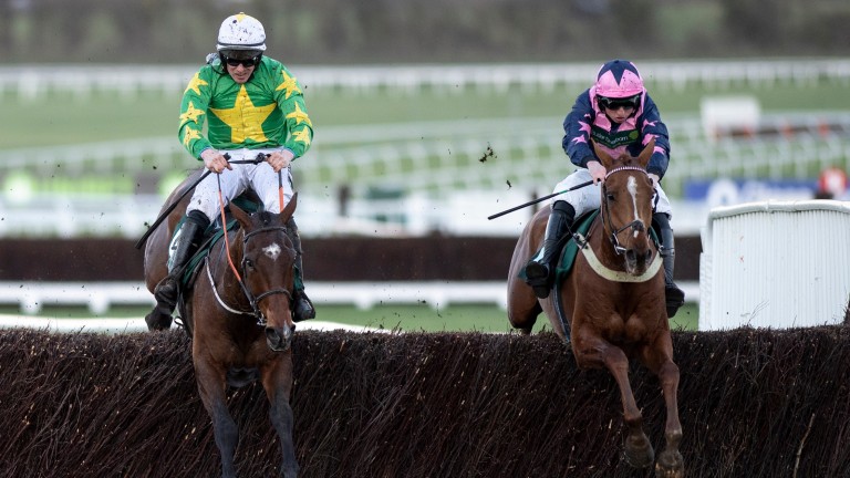Tuesday's National Hunt Chase has come under scrutiny