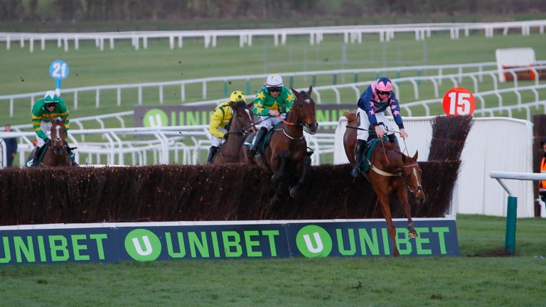 Le Breuil (Jamie Codd, purple) survives this blunder to lead home three other finishers in the NH Novices' Chase for amateur riders at Cheltenham on Tuesday