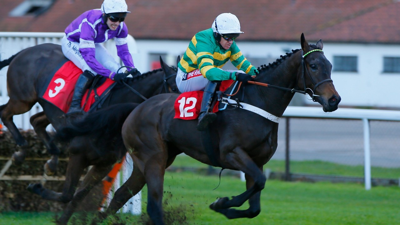 Racing post greyhound bet apparel Racing post greyhound bet apparel