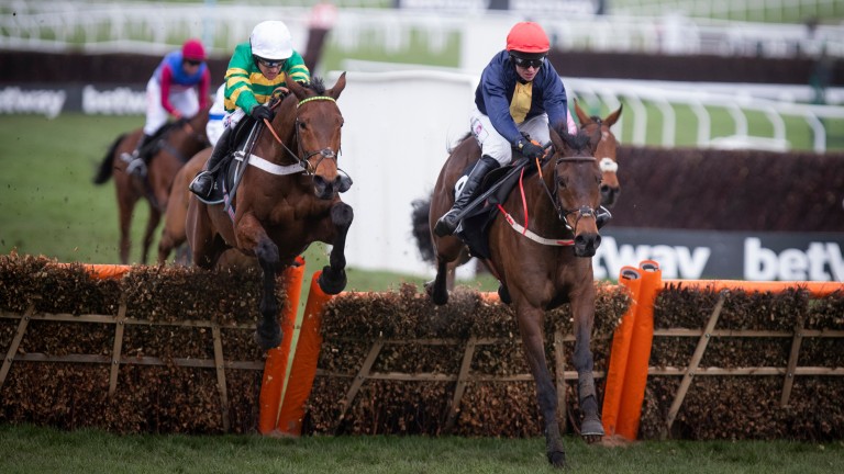 City Island (right) continued to show abundant promise in the Ballymore Novices' Hurdle