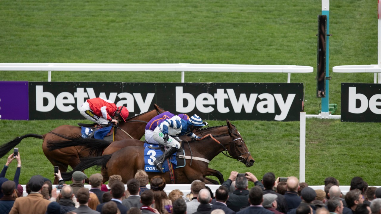Live horse race betting Live horse race betting