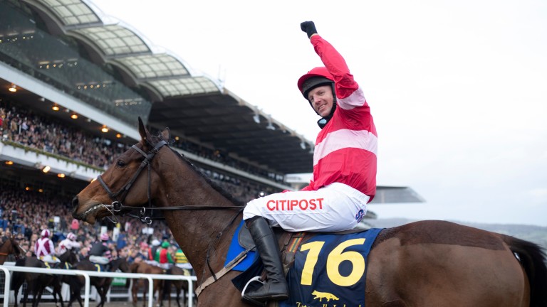 Noel Fehily: going out on his own terms