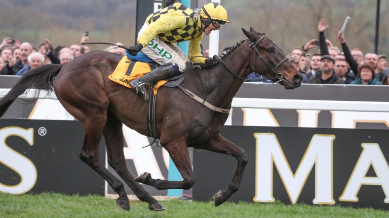 Paul Townend and Al Boum Photo cross the line as Gold Cup winners