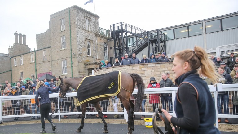 Kelso: will welcome back racegoers on February 3