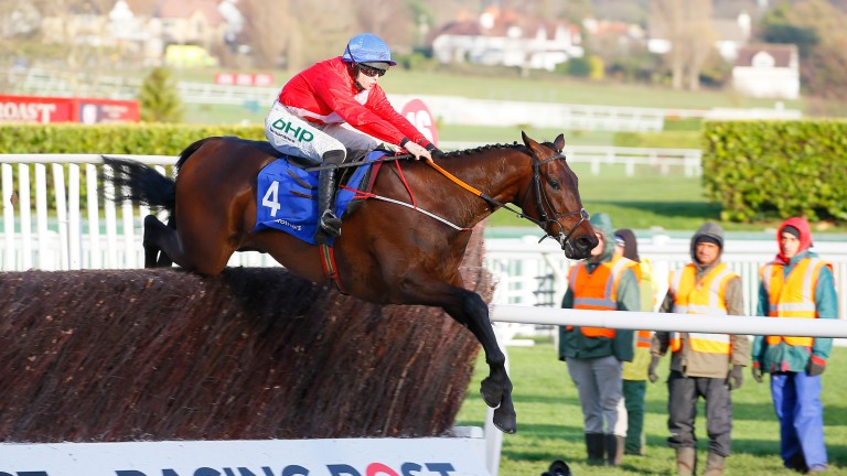 De Bromhead confirms likely Cheltenham target for Dublin absentee A