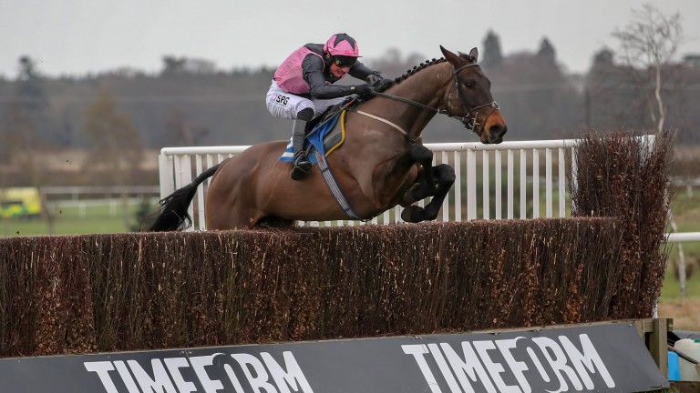 Blue Flight: has an excellent record at Kelso