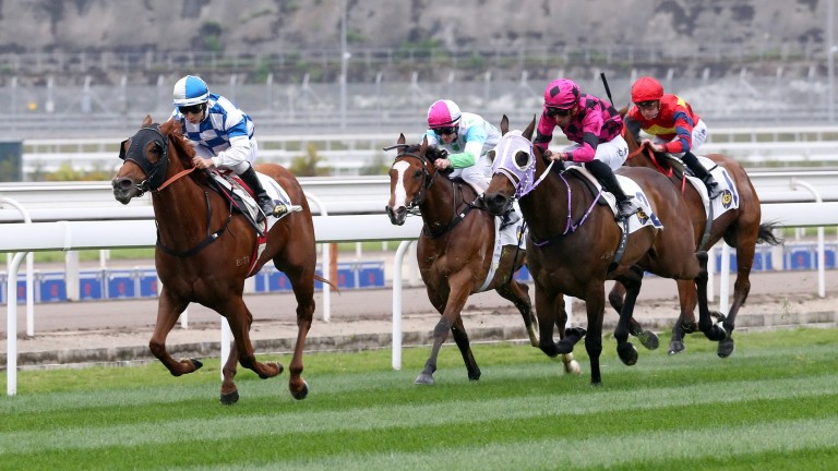 Action from the Hong Kong Jockey Club's Conghua facility last year