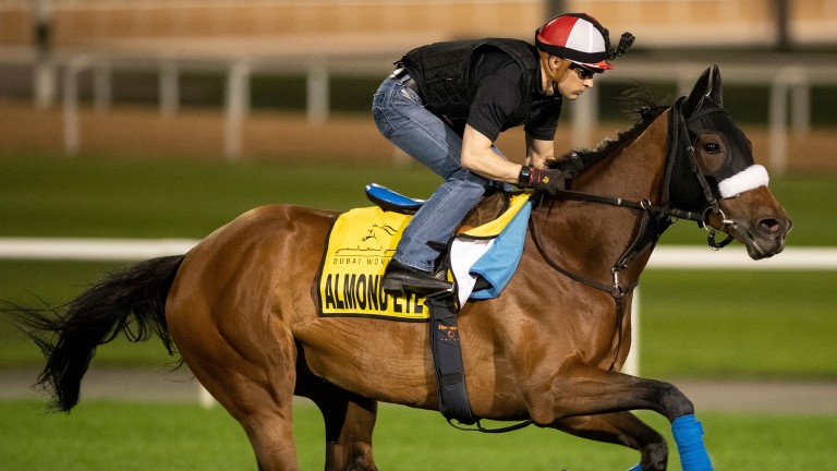 Almond Eye: potential star of the show on World Cup night in the Dubai Turf