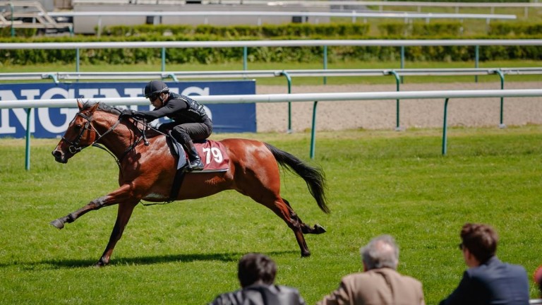 A lot breezes up the Deauville straight