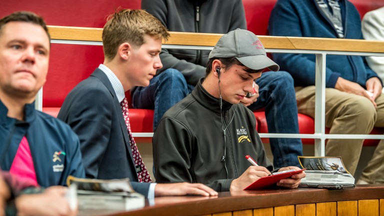 Matthew Houldsworth signs for a yearling in the Doncaster ring