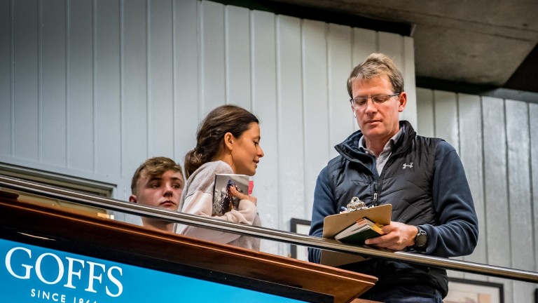 David Redvers, with assistant Hannah Wall, signs the docket for the Kingman colt at Goffs