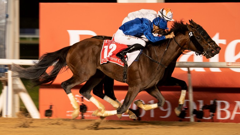 Thunder Snow defeats Gronkowski in the Dubai World Cup in March