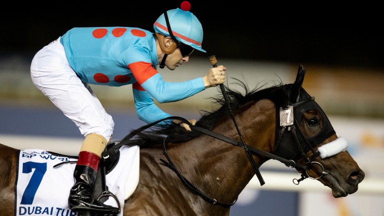 Almond Eye: will not travel to France for the Arc in October