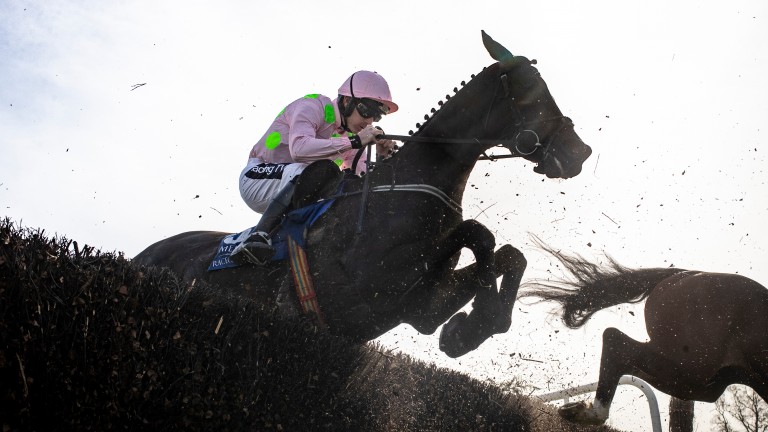 Burrows Saint: Mullins' leading contender for Saturday's Grand National