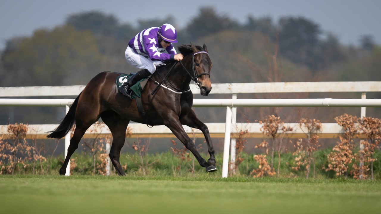 kaya's horse
