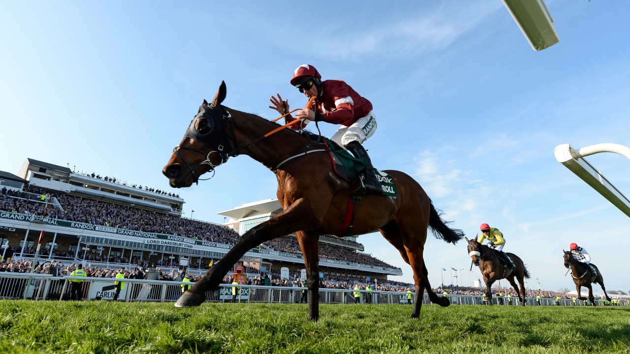 How many horses run in grand national parks How many horses run in grand national parks