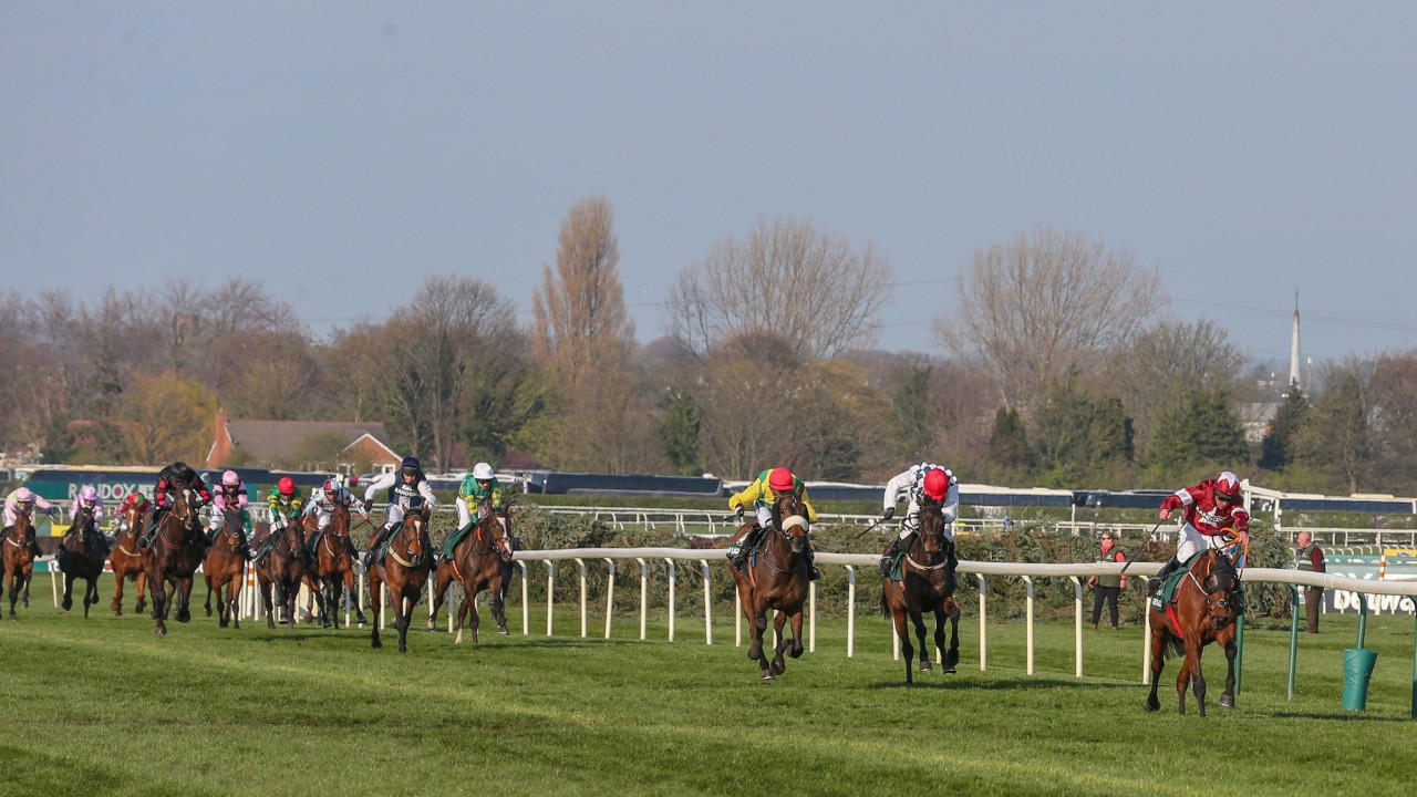Harrington And Kennedy On Cloud Nine As Magic Of Light Shines Bright In Second Horse Racing News Racing Post