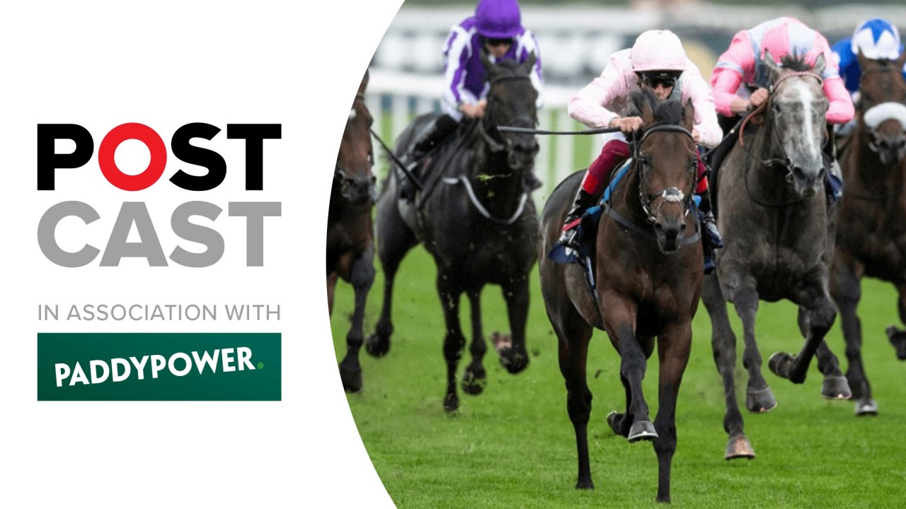 Ante post betting 1000 guineas global betting and gambling consultants in cardiology