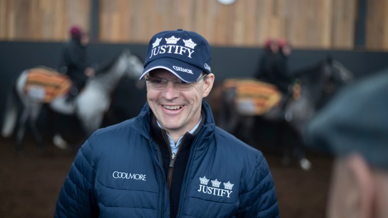 Aidan O'Brien; runs four in the 2,000 Guineas