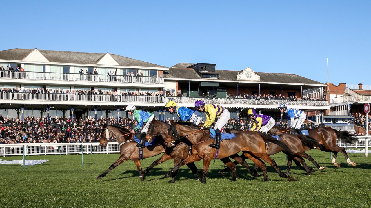 The Lowdown Going Updates Racecards News And Tips For Today S Racing Horse Racing News Racing Post