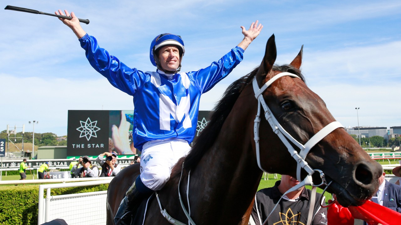 winx horse caps