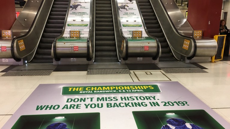 You can't escape racing in some of Sydney's busiest railway stations