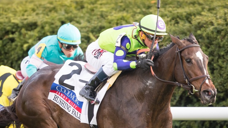 Rushing Fall: on a roll after two Grade 1 victories